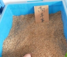 糊料天然類原材料有哪些